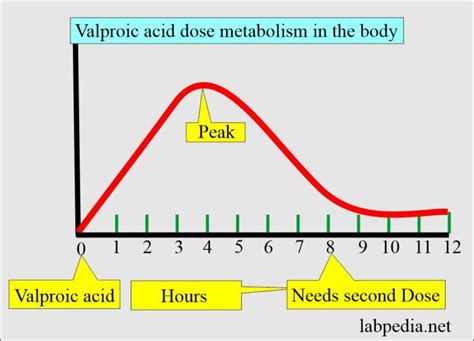 Valproic acid (Valproate level) - Labpedia.net