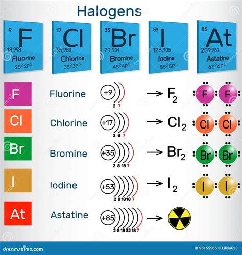 Halogens. Chemical Elements of Periodic Table Stock Vector - Illustration of design, infographic ...