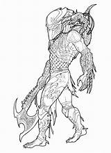 Predator Coloring Pages  Free Printable For Kids sketch template