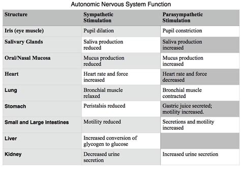 Parasympathetic And Sympathetic Nervous System Chart