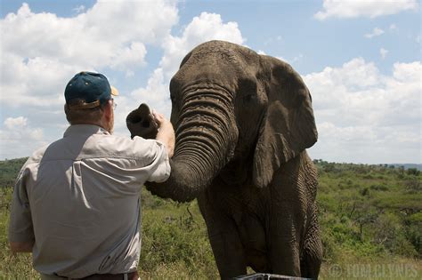 "Elephant Whisperer" Lawrence Anthony | Tom Clynes Adventure Photography