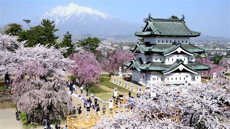 Japan’s Top 100 Blossoms: Hirosaki Park (Aomori) | Nippon.com