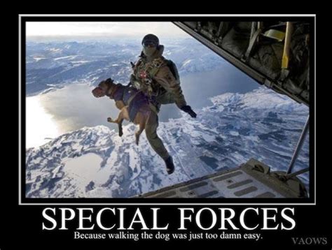 #barking up the wrong tree Military Jokes, Military Working Dogs, Military Life, Military ...