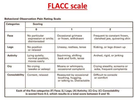 Behavioral Pain Scale - Dunia Belajar