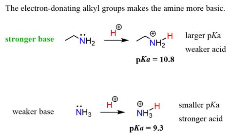 Basicity of Amines - Chemistry Steps