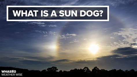 What's up Sun Dog? | whas11.com