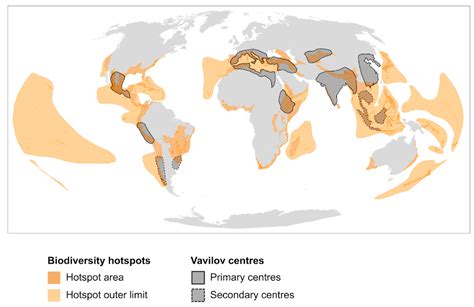 Plants | Free Full-Text | Toward Unifying Global Hotspots of Wild and Domesticated Biodiversity