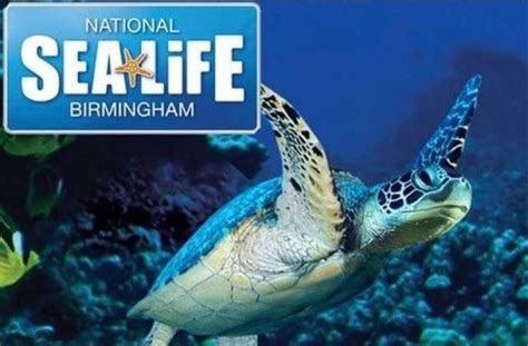 Sea life centre tickets x 4 | in Sandwell, West Midlands | Gumtree