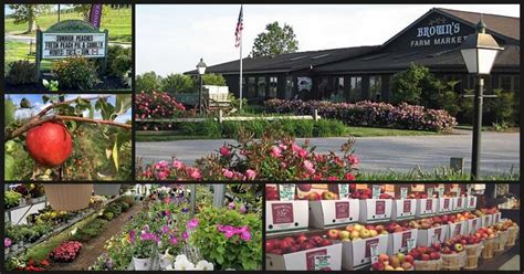 Brown’s Orchards (Loganville, PA) - Apple Picking