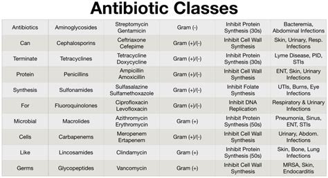 Antibiotic class chart drug name list coverage mechanism of action ...