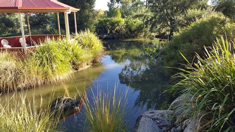 Botanical Gardens - East Tamworth NSW 2340, Australia