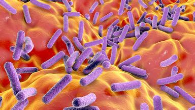 Eubacteria Examples