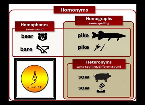 List of 150 Examples of Homophones - QuranMualim - Quran Mualim