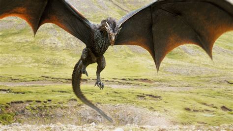 Dragons | Game of Thrones Wiki | FANDOM powered by Wikia