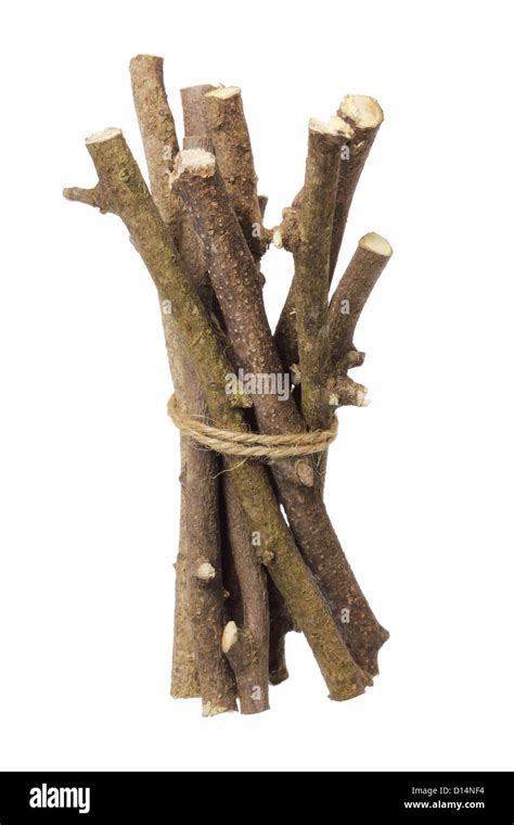 Twigs High Resolution Stock Photography and Images - Alamy