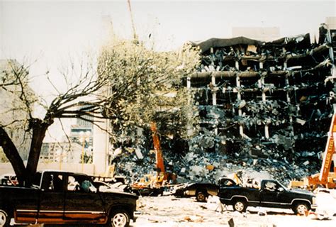 The Survivor Tree – Then – Oklahoma City National Memorial & Museum