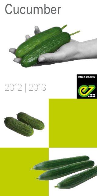 Cucumber - Enza Zaden