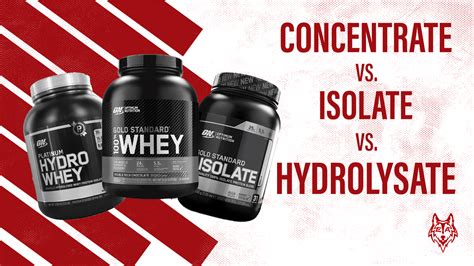 Whey Protein vs Isolate: Which is Best For You? - The Cody Allen