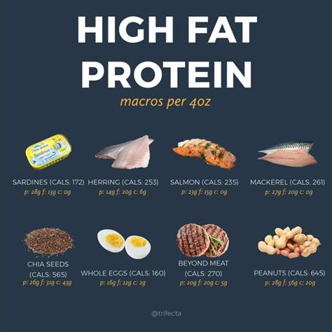 food with high protein - Neda Felix