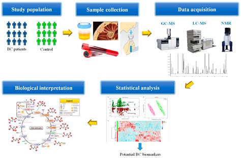 Metabolites | Free Full-Text | Breast Cancer Metabolomics: From Analytical Platforms to ...