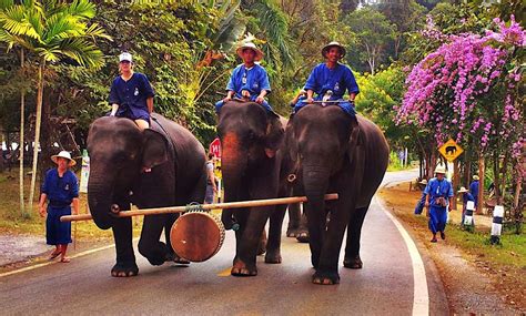 Escape to Lampang 2 days 1 night | Private Tour Guide in Chiang Mai, Thailand | Thai Basic Stay