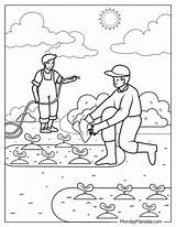 26 Farm Coloring Pages Free PDF Printables sketch template