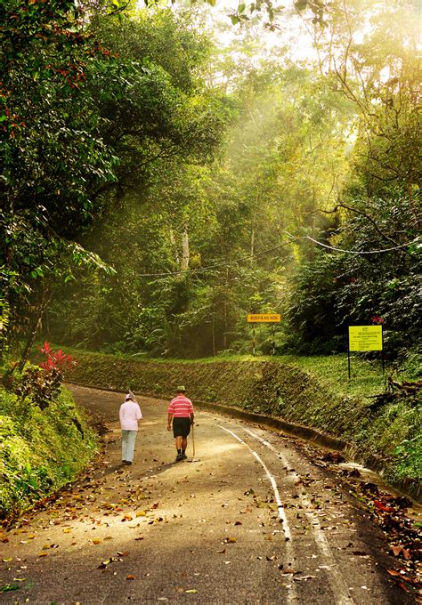 Bukit Larut (Maxwell Hill), Taiping, Malaysia, Malaysia