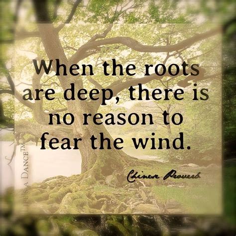 When the roots are deep, there is no need to fear the wind. | Roots ...