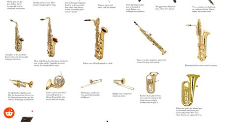 The complete high school band and orchestra instruments starterpack ...