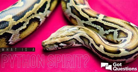 What is a python spirit? | GotQuestions.org