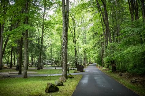 Smokemont Campground | Outdoor Project