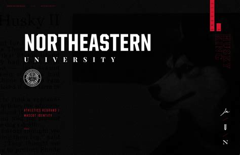 Northeastern University | Athletics Rebrand :: Behance