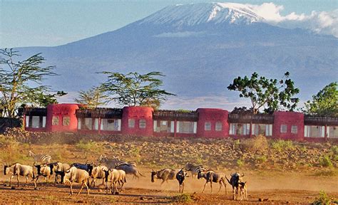 Amboseli Serena Safari Lodge - The Africa Adventure Company