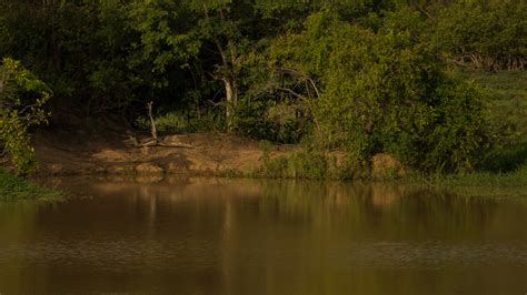 Waterhole on savanna - Ghana Safari Tours