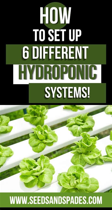 6 types of hydroponic systems how they work – Artofit