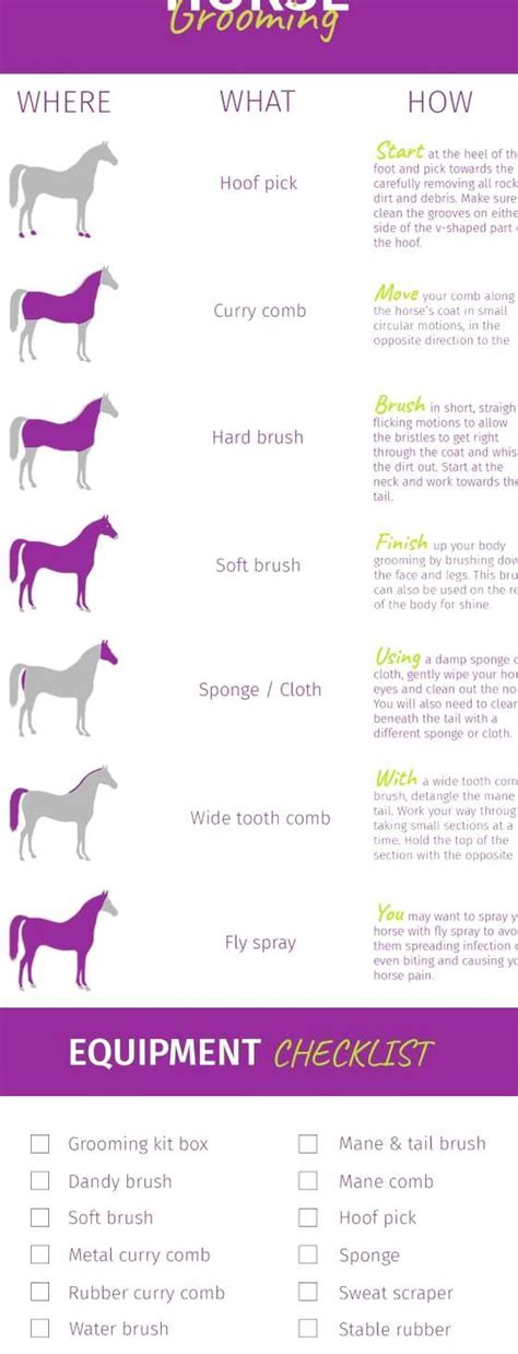 ️Horse Grooming Tools Worksheets Free Download| Gambr.co