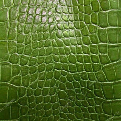 Crocodile skin texture Stock Photo by ©tungphoto 9259933