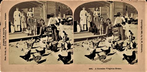 Library of Virginia Special Collections Stereograph Collection