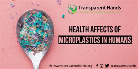 Health Effects of Microplastics on Humans - Transparent Hands