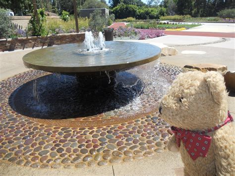 Teddy and Nibs: Coldwater Canyon Park