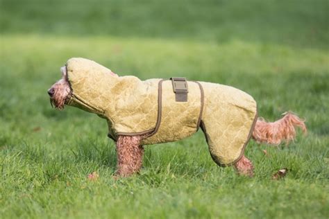 The Best Dog drying coats – The Cotswold Spaniels