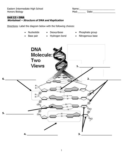 DNA Structure and Replication Worksheet