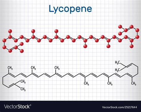 Lycopene molecule structural chemical formula Vector Image