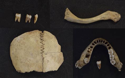 Prehistoric DNA Reveals Two Groups Migrated to the U.K. After the Last ...