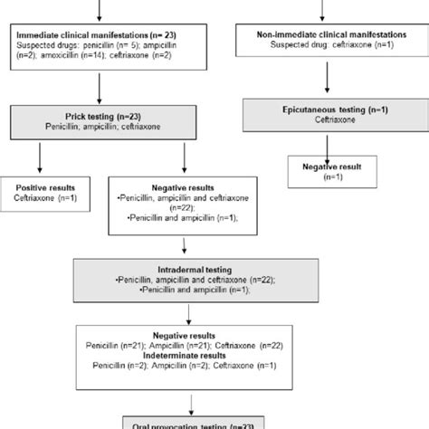 Investigation of β-lactam allergy in pediatric patients with suspected ...