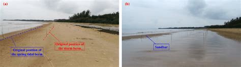 Erosion of the beach berm (a) and formation of the underwater sandbar... | Download Scientific ...