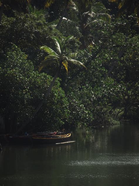 Kerala Backwaters Photos, Download The BEST Free Kerala Backwaters ...