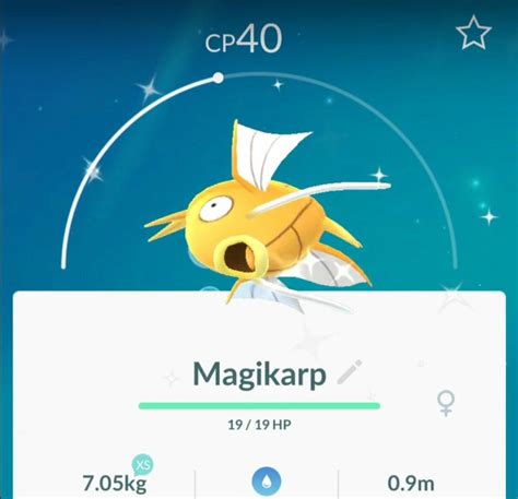 Shiny Magikarp! : r/PokemonGoCalgary