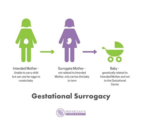 How Does Surrogacy Work? | Steps of Gestational Surrogacy