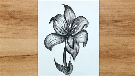 How To Draw A Realistic Lily Flower Step By | Best Flower Site